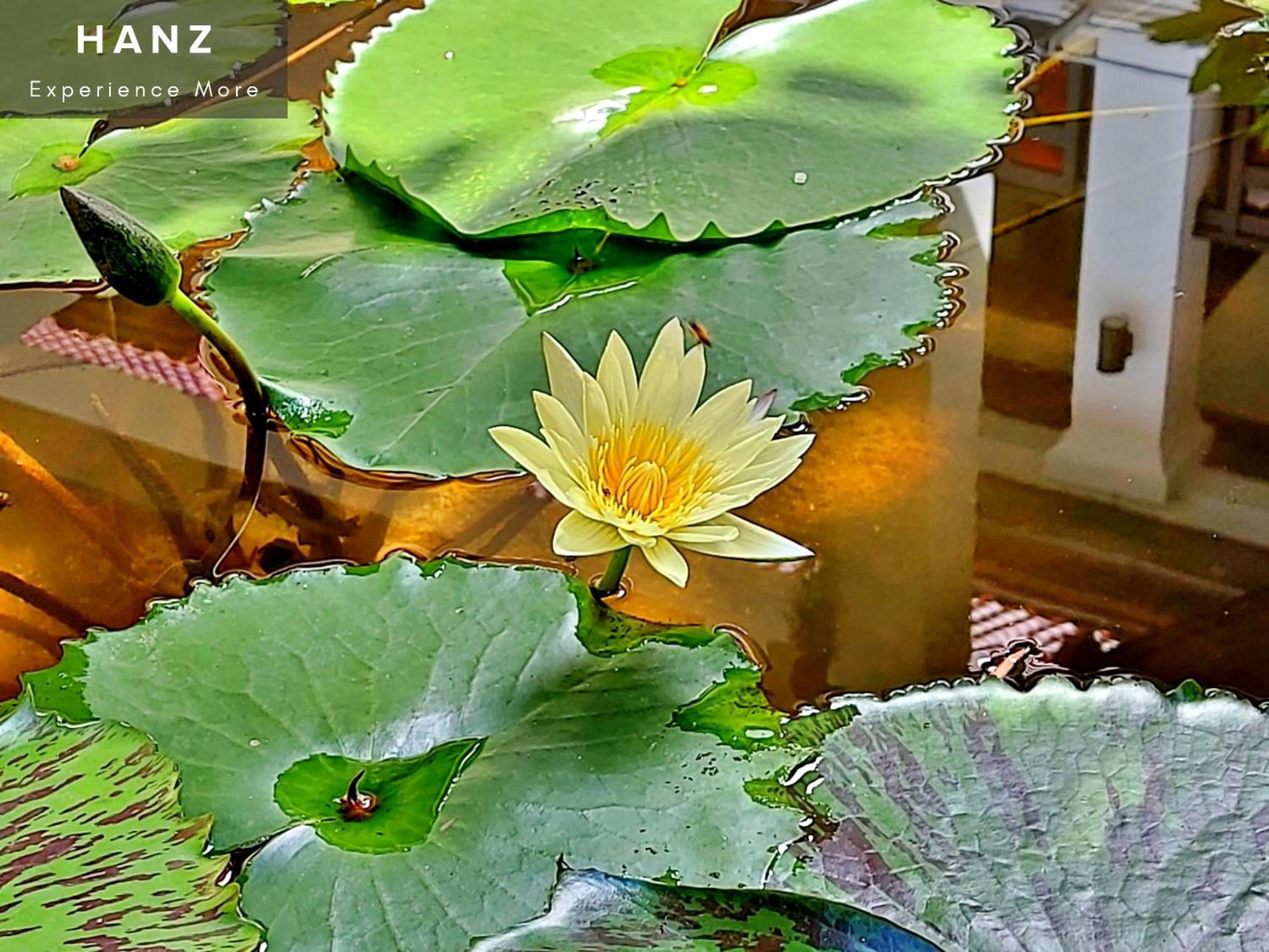 Hotel Sunrise Luang Prabang Zewnętrze zdjęcie