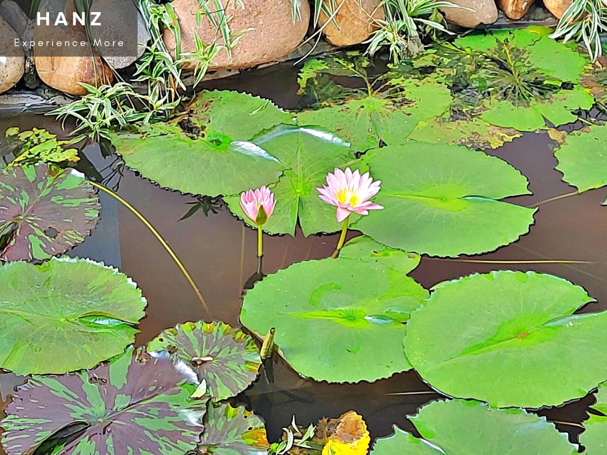 Hotel Sunrise Luang Prabang Zewnętrze zdjęcie