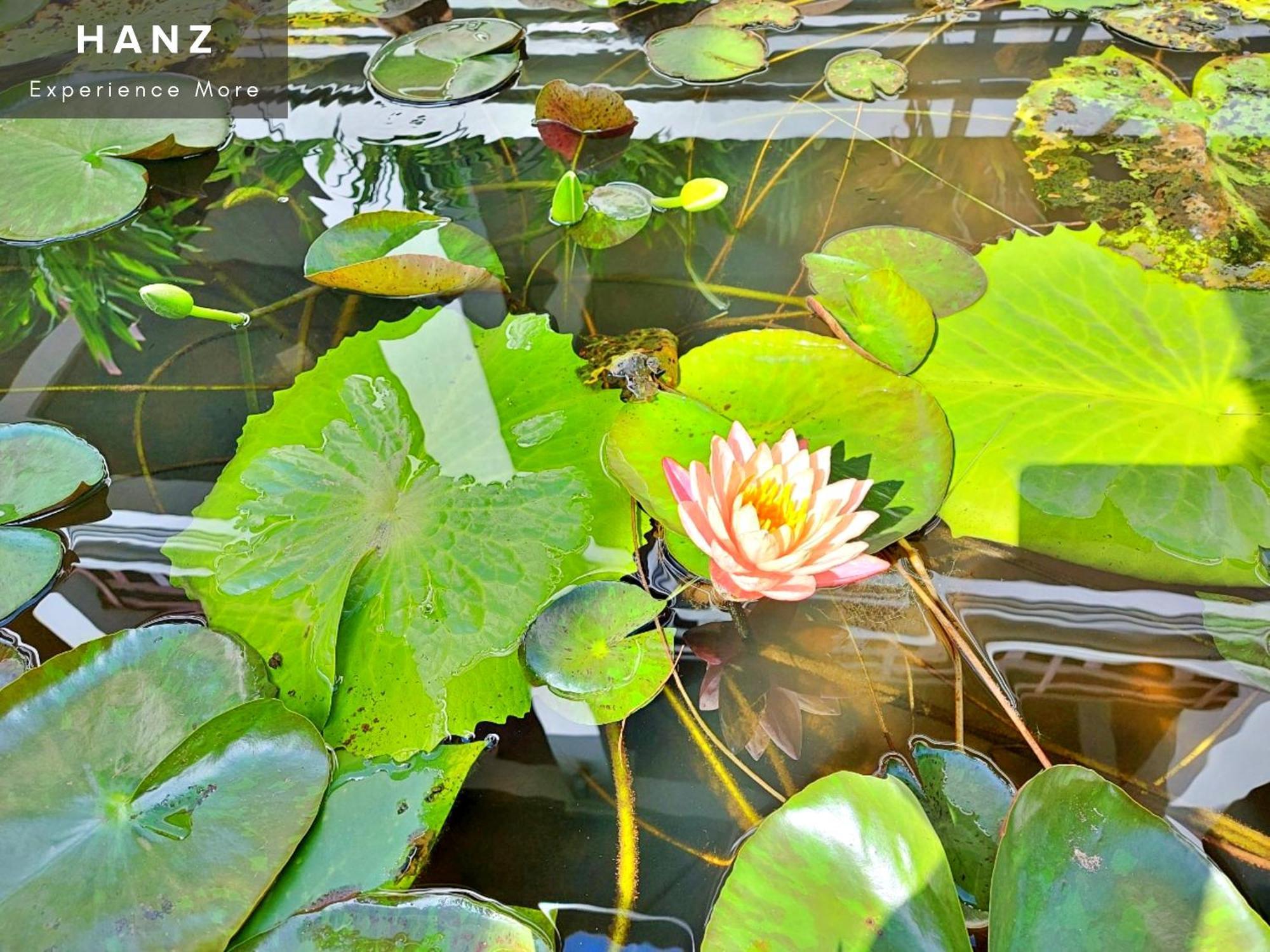 Hotel Sunrise Luang Prabang Zewnętrze zdjęcie